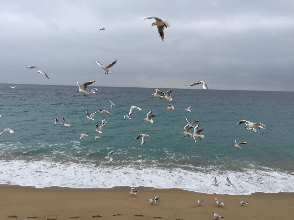 קאן Dionysos Vue Mer חדר תמונה